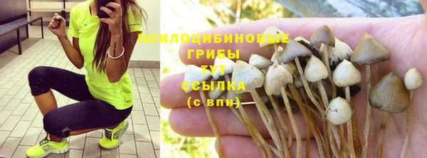 стаф Абдулино
