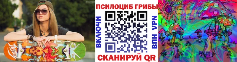 что такое наркотик  Осташков  Псилоцибиновые грибы Psilocybe 